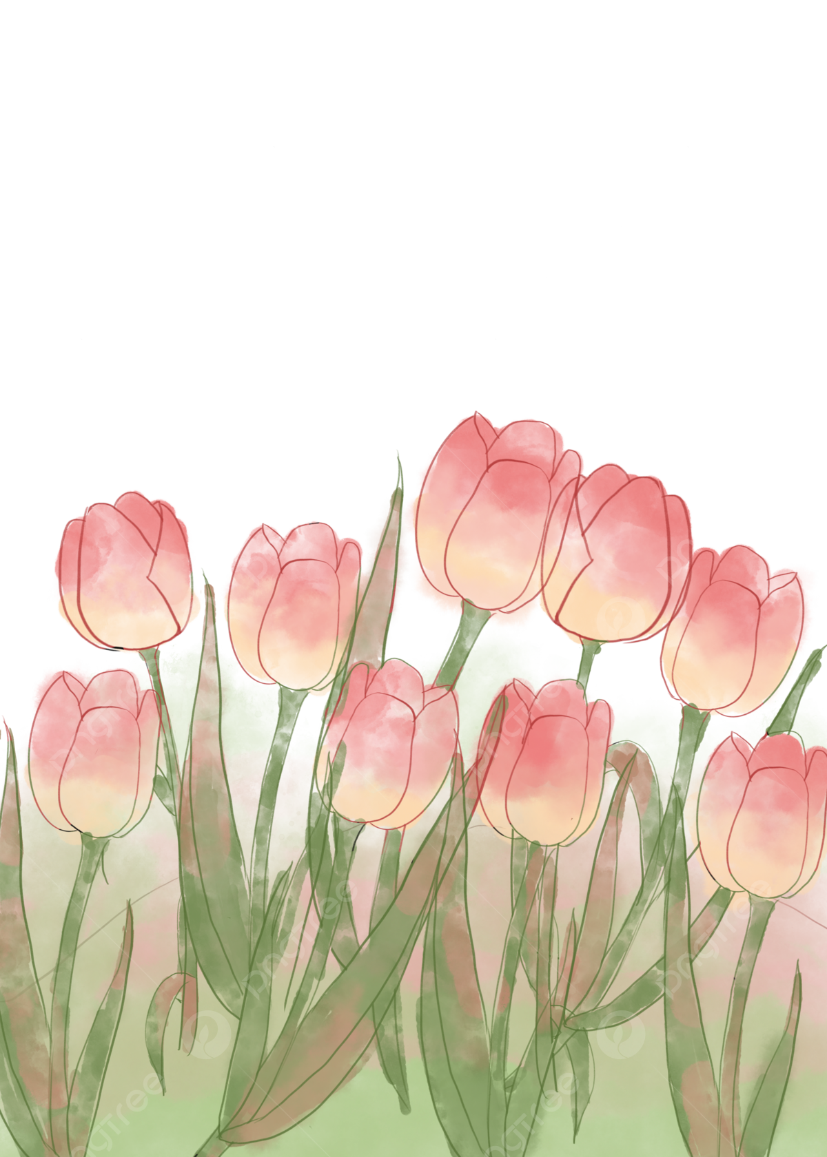 66+ Hướng dẫn nhanh vẽ hoa tulip: Từ cơ bản đến hoàn thành